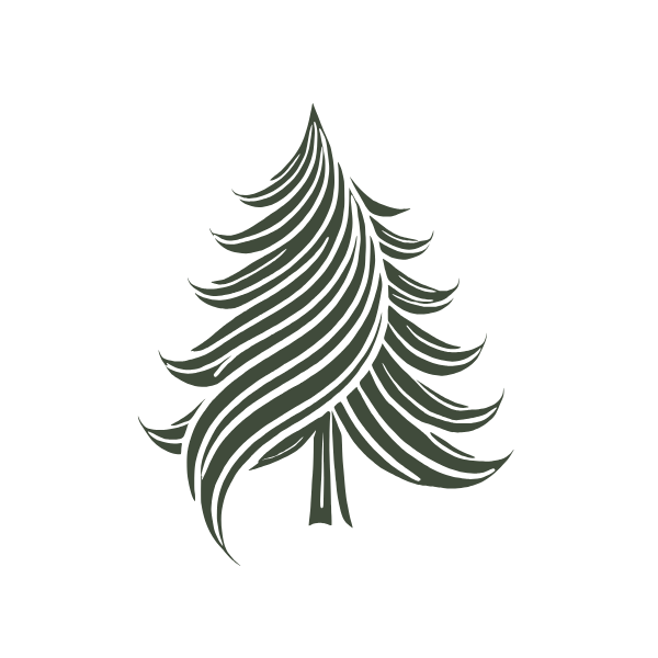 evergreenhairandbeautybar.com